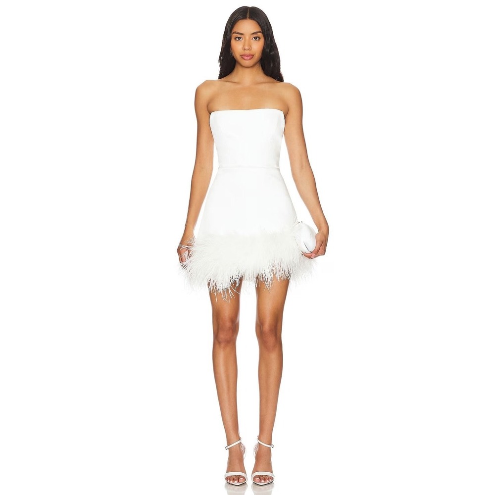 NWT Bronx and Banco Fiora Feather-Trimmed Strapless Mini Dress $950 - Size US 8 - Picture 2 of 13